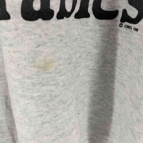 フルーツオブザルーム FRUIT OF THE LOOM 90S メキシコ製 ミュージカルプリントスウェット メンズ import:M