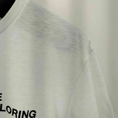 ザノースフェイス THE NORTH FACE NF SQUARE LG TEE クルーネック Tシャツ レディース import:L