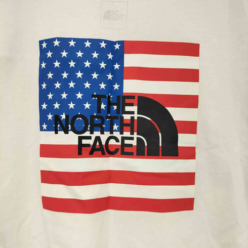 ザノースフェイス THE NORTH FACE S/S NATIONAL FLAG TEE メンズ import:L