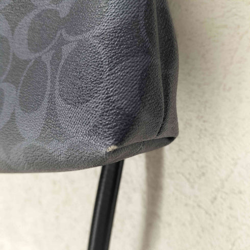コーチ COACH シグネチャー ストライプ ファイルバッグ メンズ