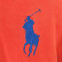 ポロバイラルフローレン Polo by RALPH LAUREN 90s ポニー刺繍 プルオーバーパーカー メンズ 170