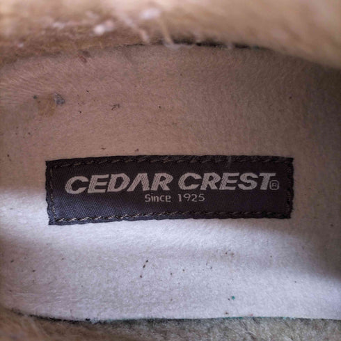 セダークレスト CEDAR CREST スエード チャッカブーツ スリッポン 裏地ボア メンズ L