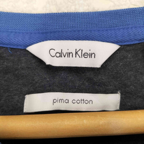 カルバンクライン CALVIN KLEIN PIMA COTTON メタルロゴプリントTシャツ メンズ import:L