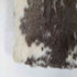 REAL FUR ジャケット レディース