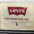 リーバイス Levis マルチストライプ オーバーサイズ 長袖 シャツ メンズ import:L