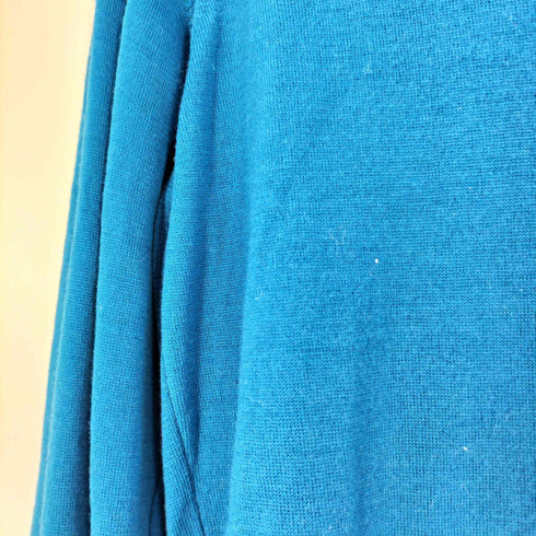 ジョンスメドレー JOHN SMEDLEY イギリス製 PURE NEW WOOL ウール100% Vネック ニット セーター メンズ import:XS
