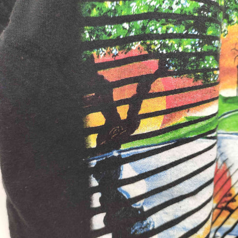 00s フィンランド パワーメタルバンド ソナタ Tシャツ メンズ import:M