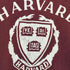 チャンピオン Champion 80S USA製 トリコタグ HARVARD ラバープリント Tシャツ メンズ import:XL