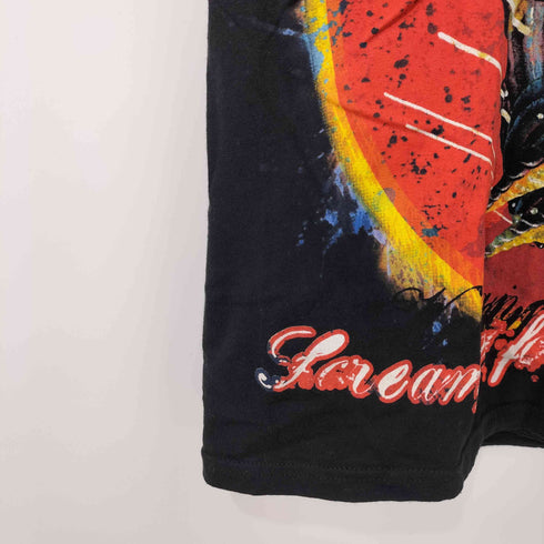 00s Screaming For Vengeance ブリティッシュ ヘヴィメタル バンド Hanes Heavy Weihght ボディ アートワーク プリント S/S Tシャツ メンズ import:S