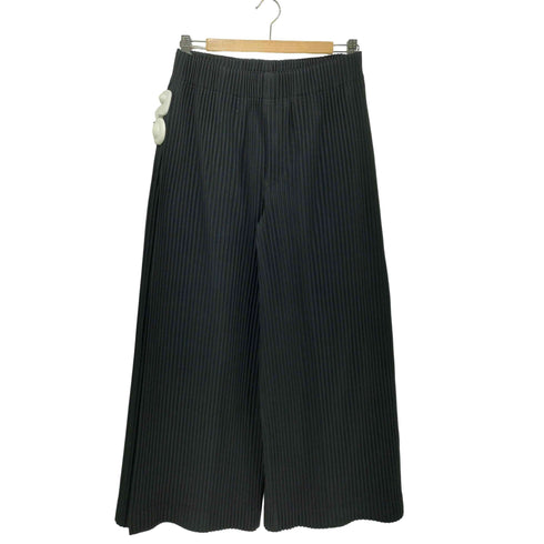 オムプリッセイッセイミヤケ HOMME PLISSE ISSEY MIYAKE 25SS MONTHLY COLOR MAY マンスリーカラーメイ プリーツパンツ メンズ JPN:1