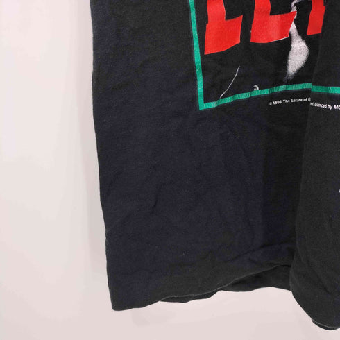 フルーツオブザルーム FRUIT OF THE LOOM 90s 1996年 The Green Hornet グリーン・ホーネット プリント S/S Tシャツ メンズ import:S