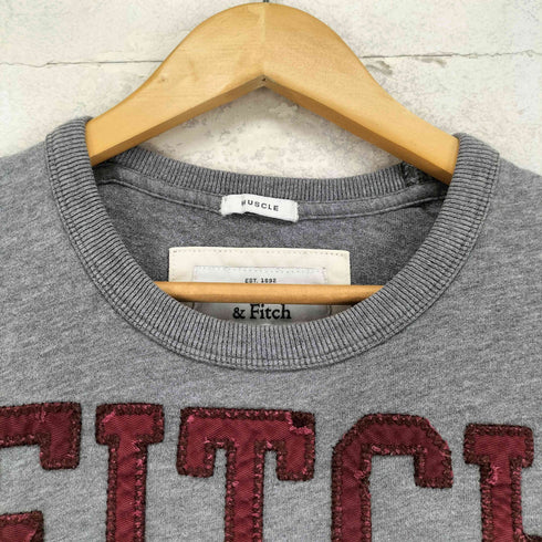 アバクロンビーアンドフィッチ Abercrombie & Fitch フロントアップリケ刺繍クルーネックTシャツ メンズ import:M