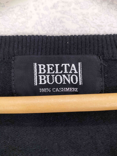 BELTA BUONO cashmere カシミヤ100% Vネックセーター メンズ JPN:L