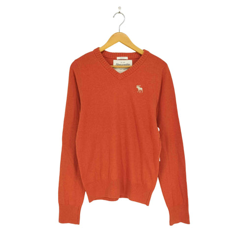 アバクロンビーアンドフィッチ Abercrombie & Fitch ウールカシミヤ Vネックニット メンズ import:M