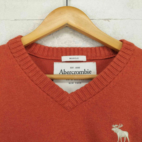 アバクロンビーアンドフィッチ Abercrombie & Fitch ウールカシミヤ Vネックニット メンズ import:M