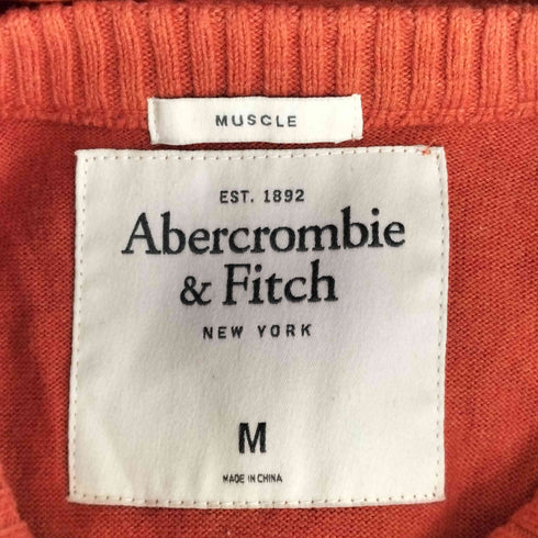アバクロンビーアンドフィッチ Abercrombie & Fitch ウールカシミヤ Vネックニット メンズ import:M