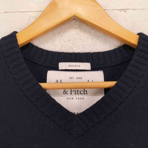 アバクロンビーアンドフィッチ Abercrombie & Fitch ウールカシミヤ Vネックニット メンズ import:M