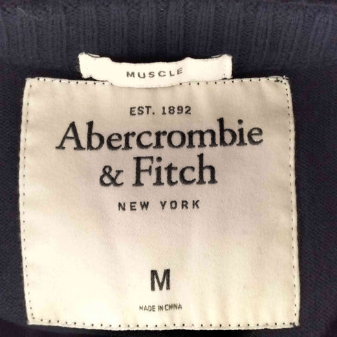 アバクロンビーアンドフィッチ Abercrombie & Fitch ウールカシミヤ Vネックニット メンズ import:M