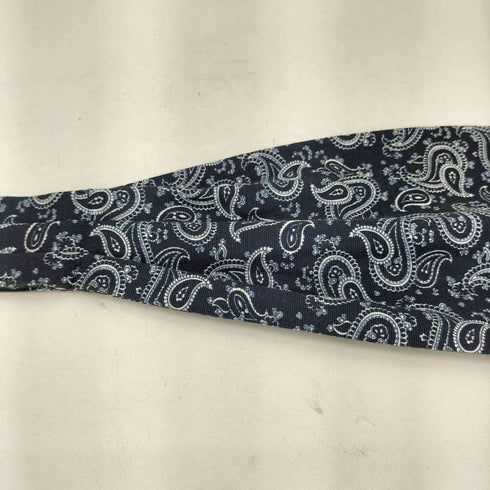 fabric by Italy シルク混 ペイズリーネクタイ メンズ