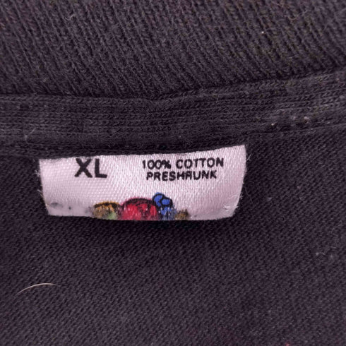 フルーツオブザルーム FRUIT OF THE LOOM 90s バンドプリント シングルステッチ クルーネック 半袖Tシャツ メンズ
