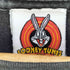 LOONEY TUNES 90S 97年コピーライト フロントプリント Tシャツ メンズ import:XL