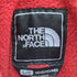 ザノースフェイス THE NORTH FACE POLATEC デナリジャケット メンズ import:L