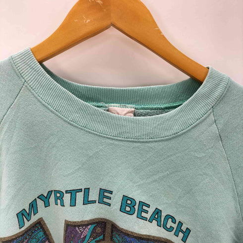 フルーツオブザルーム FRUIT OF THE LOOM 80S ボディ USA製 3段 SOUTH CAROLINA ヘビーウェイト ラグラン カレッジ スウェット トレーナー メンズ import:XL