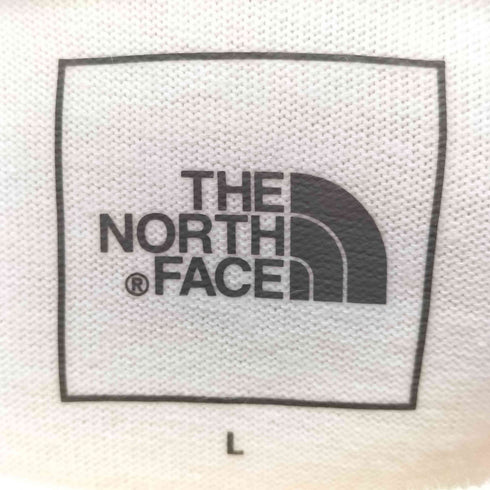 ザノースフェイス THE NORTH FACE L/S Tested Proven Tee メンズ JPN:XL