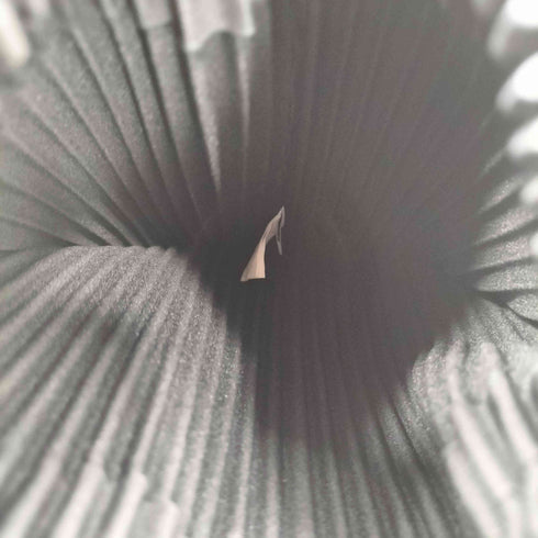 オムプリッセイッセイミヤケ HOMME PLISSE ISSEY MIYAKE POCKET ショルダーバッグ レディース