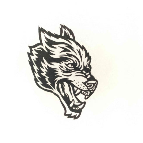 ハーレーダビッドソン HARLEY-DAVIDSON DARC SPORT Wolves Premium Oversized Tee WOLVESロゴプリント クルーネックTシャツ メンズ import:S