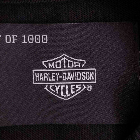 ハーレーダビッドソン HARLEY-DAVIDSON DARC SPORT Wolves Premium Oversized Tee WOLVESロゴプリント クルーネックTシャツ メンズ import:S
