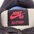 ナイキ NIKE Alleyoop SB メンズ JPN:26