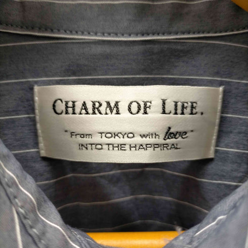 CHARM OF LIFE アームドローコード クロップド ストライプ シャツ レディース FREE