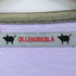 アルベロベロ OLLEBOREBLA オレボレブラ ブタさん フラワー ピスタグ ビジュー装飾 ラメ糸 穴あき ノースリーブ トップス レディース