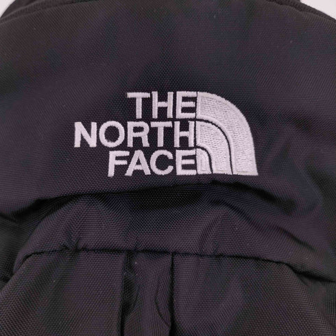ザノースフェイス THE NORTH FACE Gemini バックパック メンズ