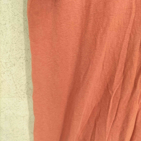 ドロボウニッキ 泥棒日記 Japanese pattern トラ 虎 和柄 プリントTシャツ メンズ 中