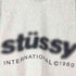 ステューシー Stussy 23AW BLUR CREW スウェット メンズ import:L
