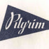 ピルグリムサーフプラスサプライ Pilgrim Surf+Supply 25ss Zambia Pennant Team Short Sleeve Tee メンズ JPN:L