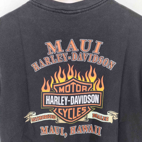 ハーレーダビッドソン HARLEY-DAVIDSON フレイムイーグル グラフィック 両面プリントTシャツ メンズ import:M