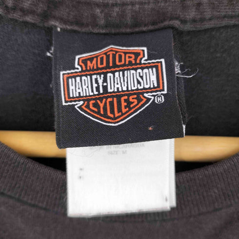 ハーレーダビッドソン HARLEY-DAVIDSON フレイムイーグル グラフィック 両面プリントTシャツ メンズ import:M