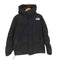 ザノースフェイスホワイトレーベル THE NORTH FACE WHITE LABEL FREE MOVE DOWN JACKET メンズ L