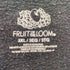 フルーツオブザルーム FRUIT OF THE LOOM 00s プルオーバー スウェット メンズ 3XL