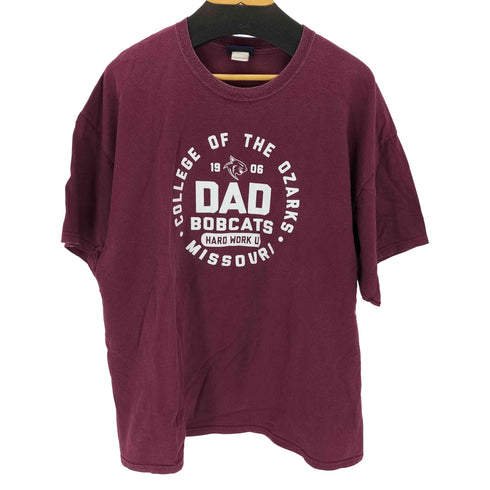 エムブイスポーツ MV SPORT 90-00s カレッジプリントクルーネックTシャツ メンズ 2XL