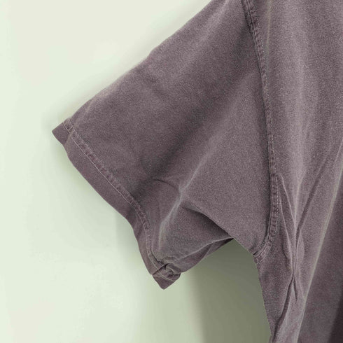 コンフォートカラーズ COMFORT COLORS プリントクルーネックS/S Tシャツ メンズ JPN:L