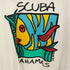 アローレ ALORE 90S USA製 アート プリント ビッグサイズ S/S クルーネック Tシャツ シングルステッチ メンズ OS