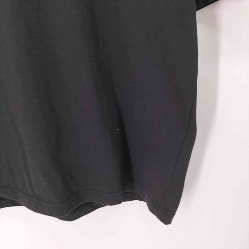 ザノースフェイス THE NORTH FACE 23ss S/S Nuptse Tee ショートスリーブ ヌプシ Tシャツ メンズ import:XL