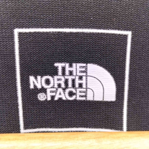 ザノースフェイス THE NORTH FACE 23ss S/S Nuptse Tee ショートスリーブ ヌプシ Tシャツ メンズ import:XL