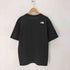 ザノースフェイス THE NORTH FACE 23ss S/S Nuptse Tee ショートスリーブ ヌプシ Tシャツ メンズ import:XL