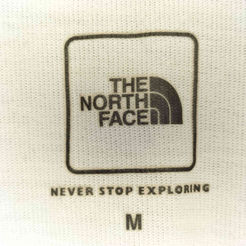 ザノースフェイス THE NORTH FACE 白馬 ロゴプリント クルーネック 半袖 Tシャツ メンズ JPN:M