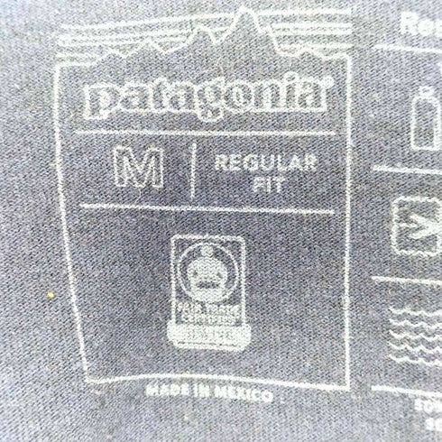 パタゴニア patagonia クルーネック 袖プリント 長袖 Tシャツ メンズ import:M